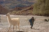 BOLIVIA 2 - Cordillera de Los Frailes - 06